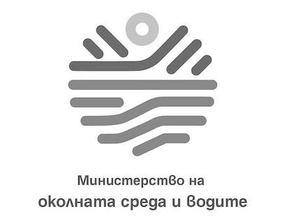 initial image