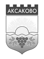 initial image