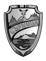 initial image